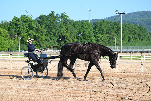 AJB_0246
