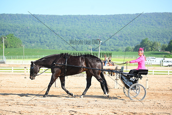 AJB_0284