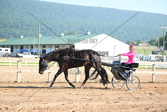 AJB_0289