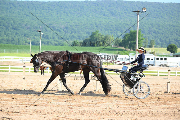 AJB_0291
