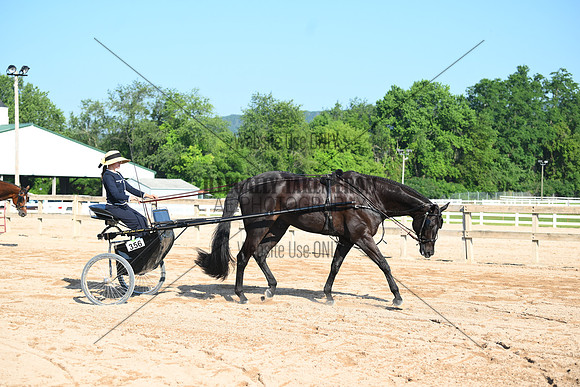 AJB_0292