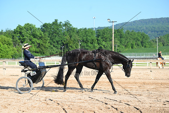AJB_0293