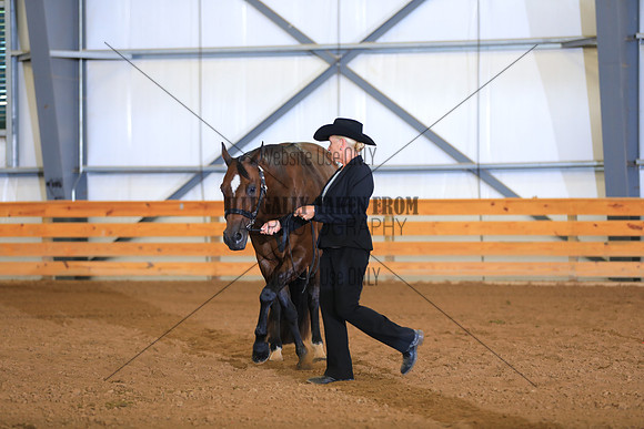 KEE_1041
