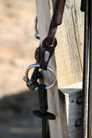 AJB_0338