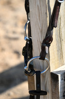 AJB_0339