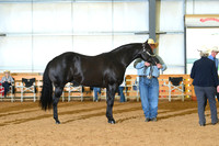 AJB_0758