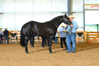 AJB_0761