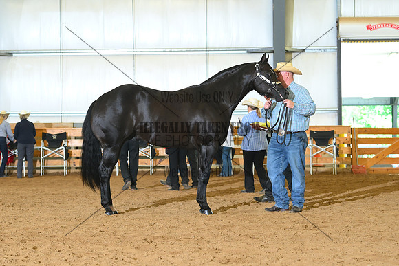 AJB_0761