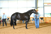 AJB_0756
