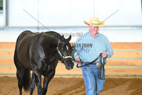 AJB_0754
