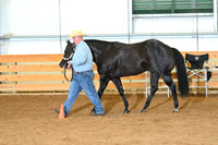 AJB_0752
