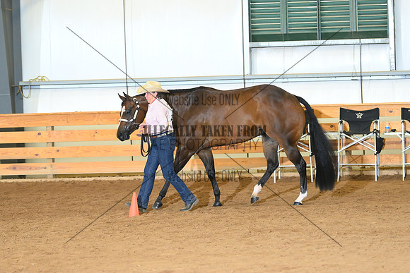 AJB_0740