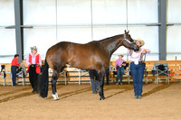 AJB_0744