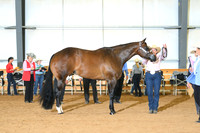 AJB_0743