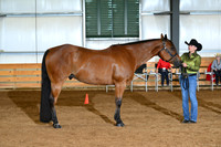 AJB_0626