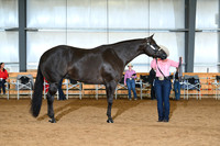 AJB_0623