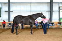 AJB_0622