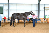 AJB_0621