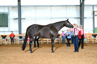 AJB_0619