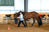 AJB_0496