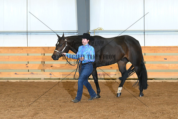AJB_0494