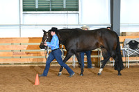 AJB_0493