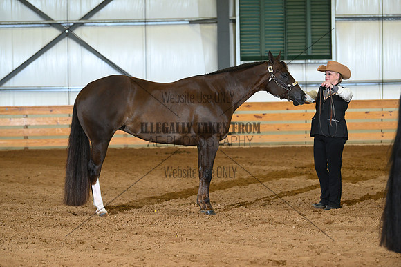 AJB_0399
