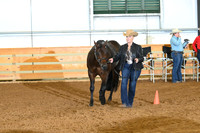 AJB_0369
