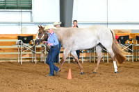 AJB_0362