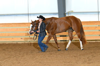 AJB_0356