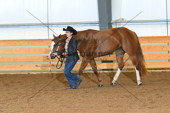 AJB_0356