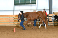 AJB_0355