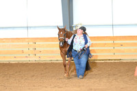 Amatuer Performance Mares