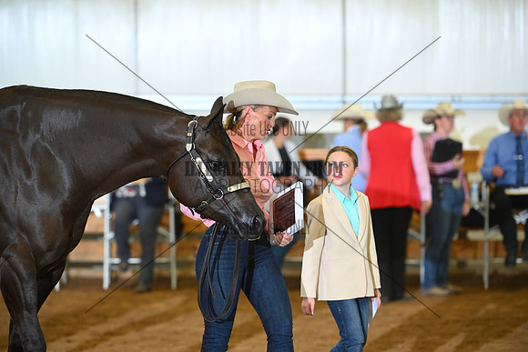 AJB_0719