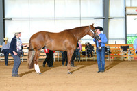 AJB_0681