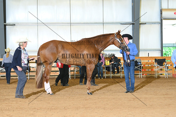 AJB_0681