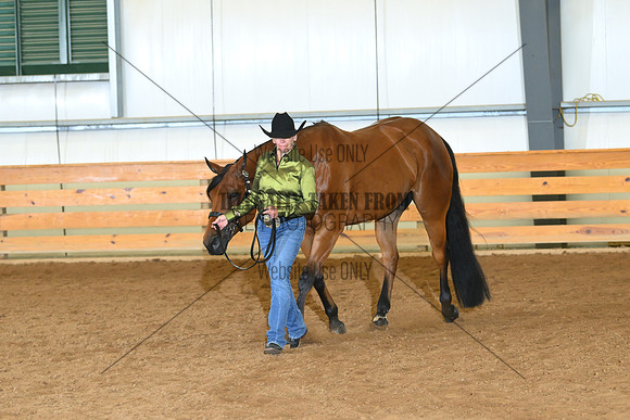 AJB_0694