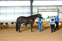 AJB_0697