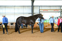 AJB_0698