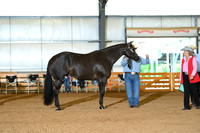 AJB_0699