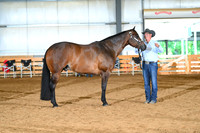 AJB_0580
