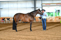 AJB_0579
