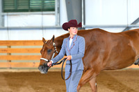 AJB_0576