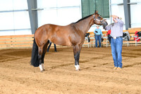 AJB_0577