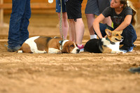 AJB_0564