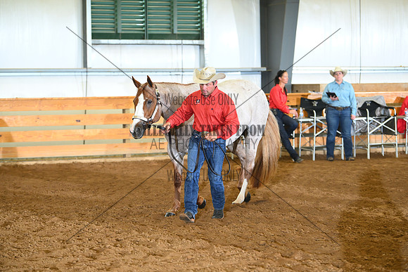 AJB_0459
