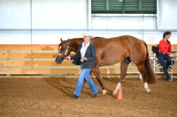 AJB_0446