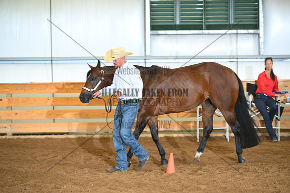 AJB_0443