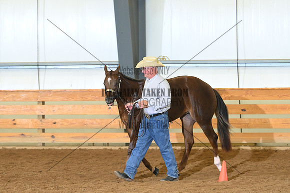 AJB_0721