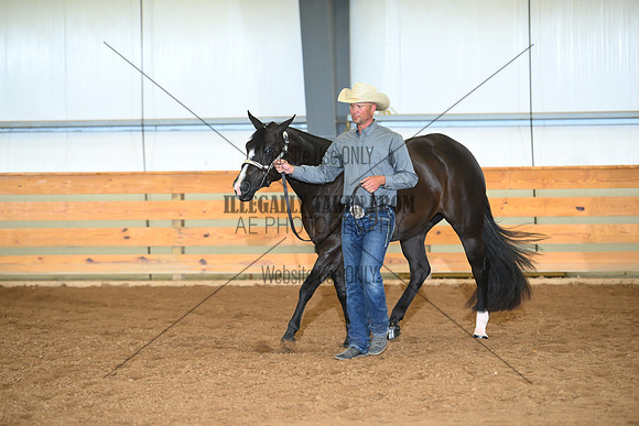 AJB_0440